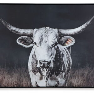 Harlandale - Wall Art - Black / White / Brown