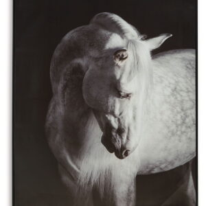 Archerwick - Wall Art - Black / White