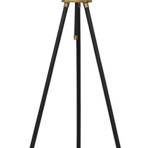 Cashner - Metal Floor Lamp - Black / Gold Finish