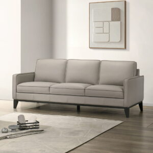 Aaron - Sofa - Mist Gray