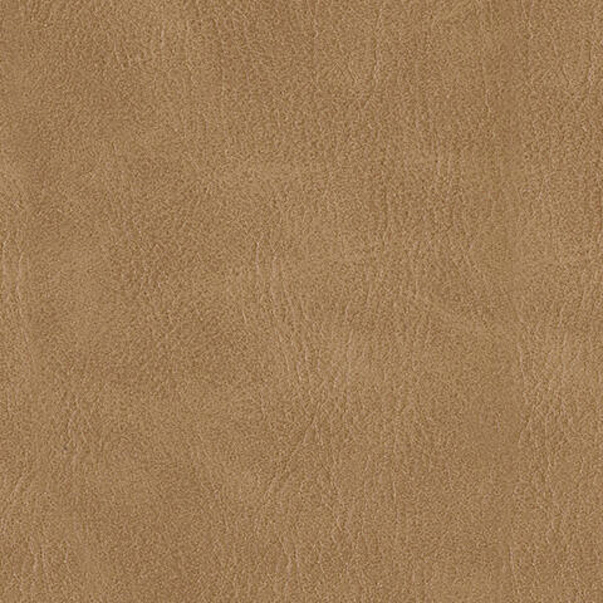 Tartonelle - Accent Chair - Image 4