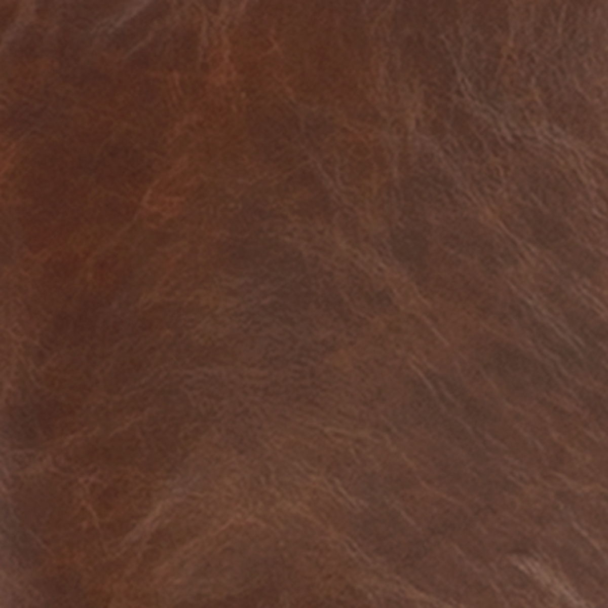 Sidewinder - Accent Chair - Brown - Image 2