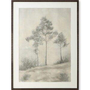 Fenngrove - Wall Art - Brown / Beige