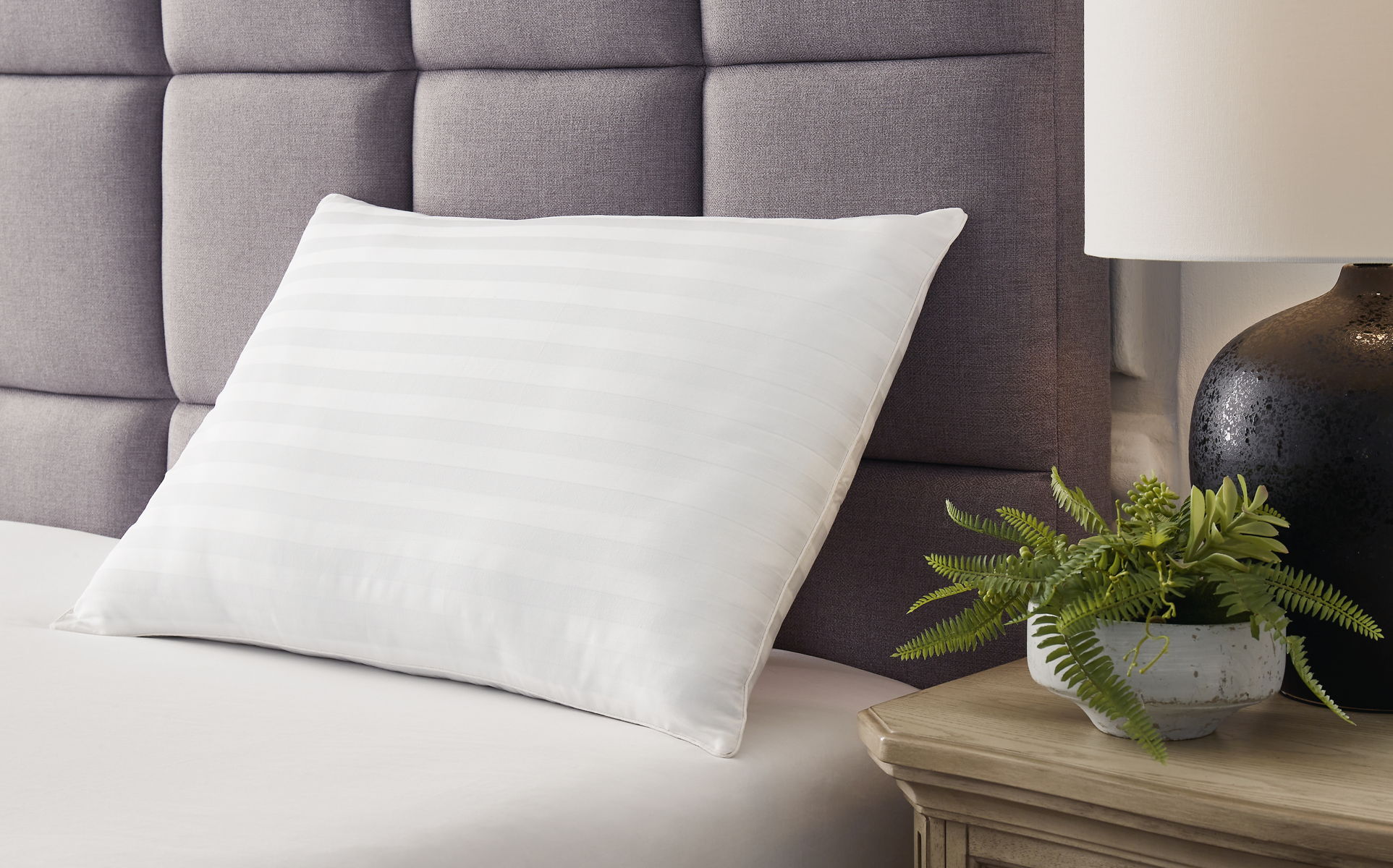 Zephyr 2.0 - Cotton Pillow (Set of 2)(9/CS) - White - Image 5